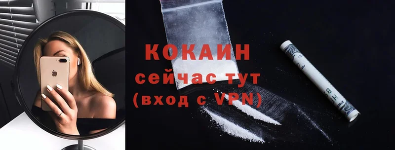 Cocaine Fish Scale Барнаул